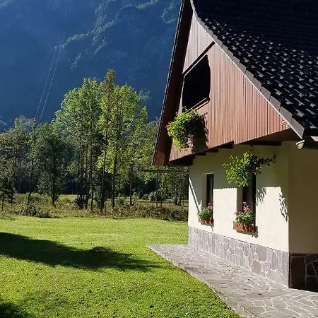 Pocitniska Hisa Taler Bohinj