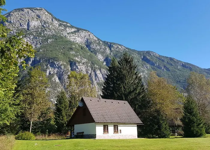 Pocitniska Hisa Taler * Bohinj